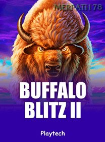Buffalo Blitz II icon